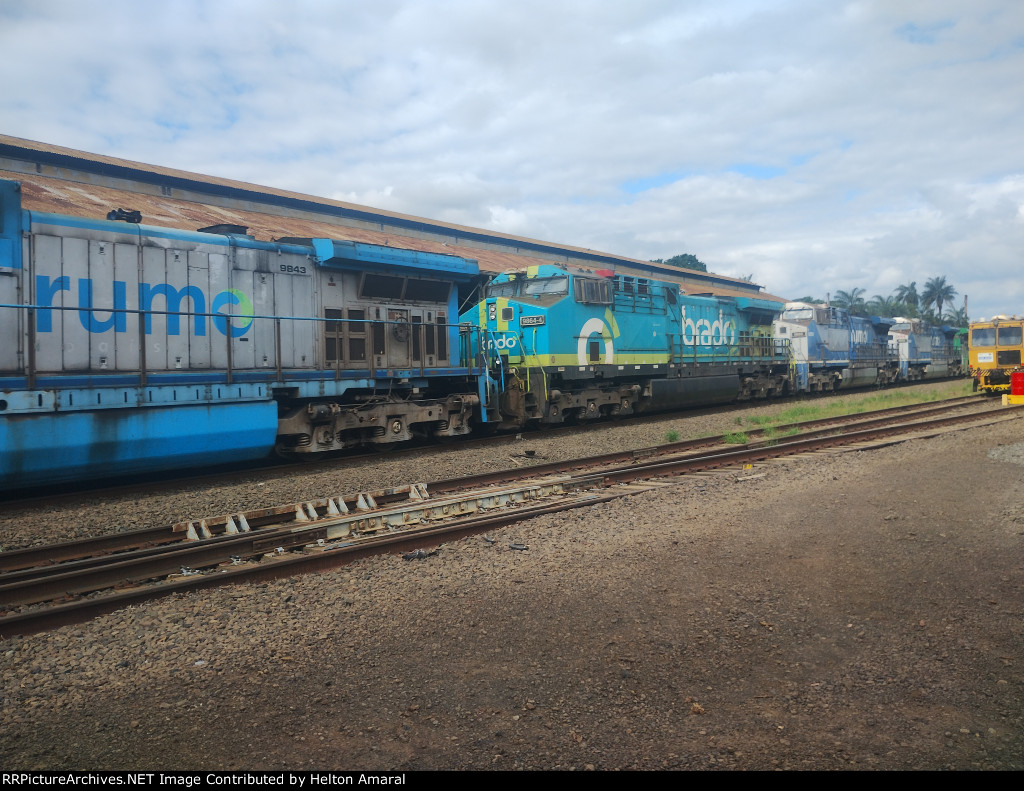 BRAD 9864